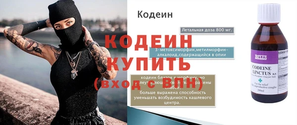 индика Баксан