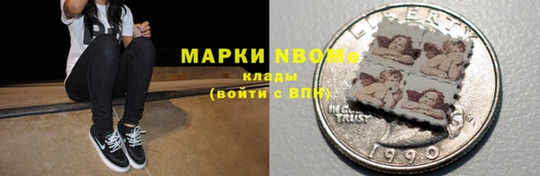 индика Баксан