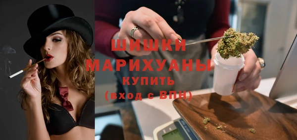 индика Баксан