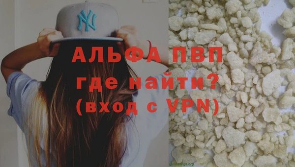 индика Баксан