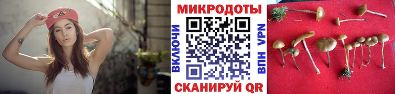 маркетплейс состав  цена   кракен ТОР  Великие Луки  Галлюциногенные грибы мицелий 